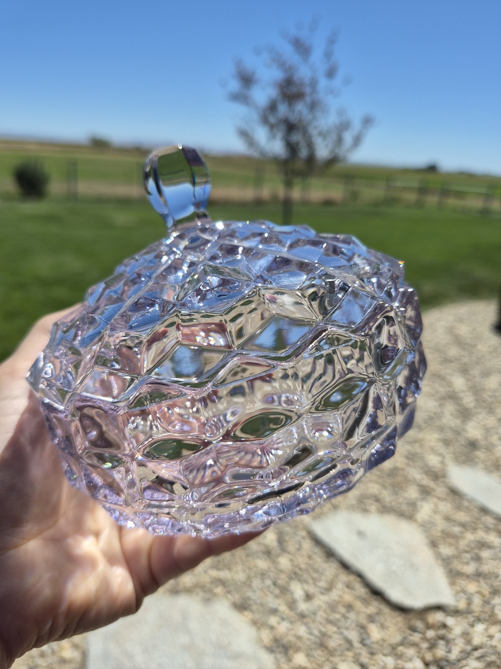 Cut Fostoria Glass Trinket Dish with Lid - Light Lavender Tint